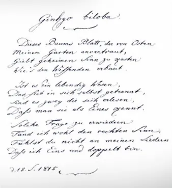 Poeme Goethe